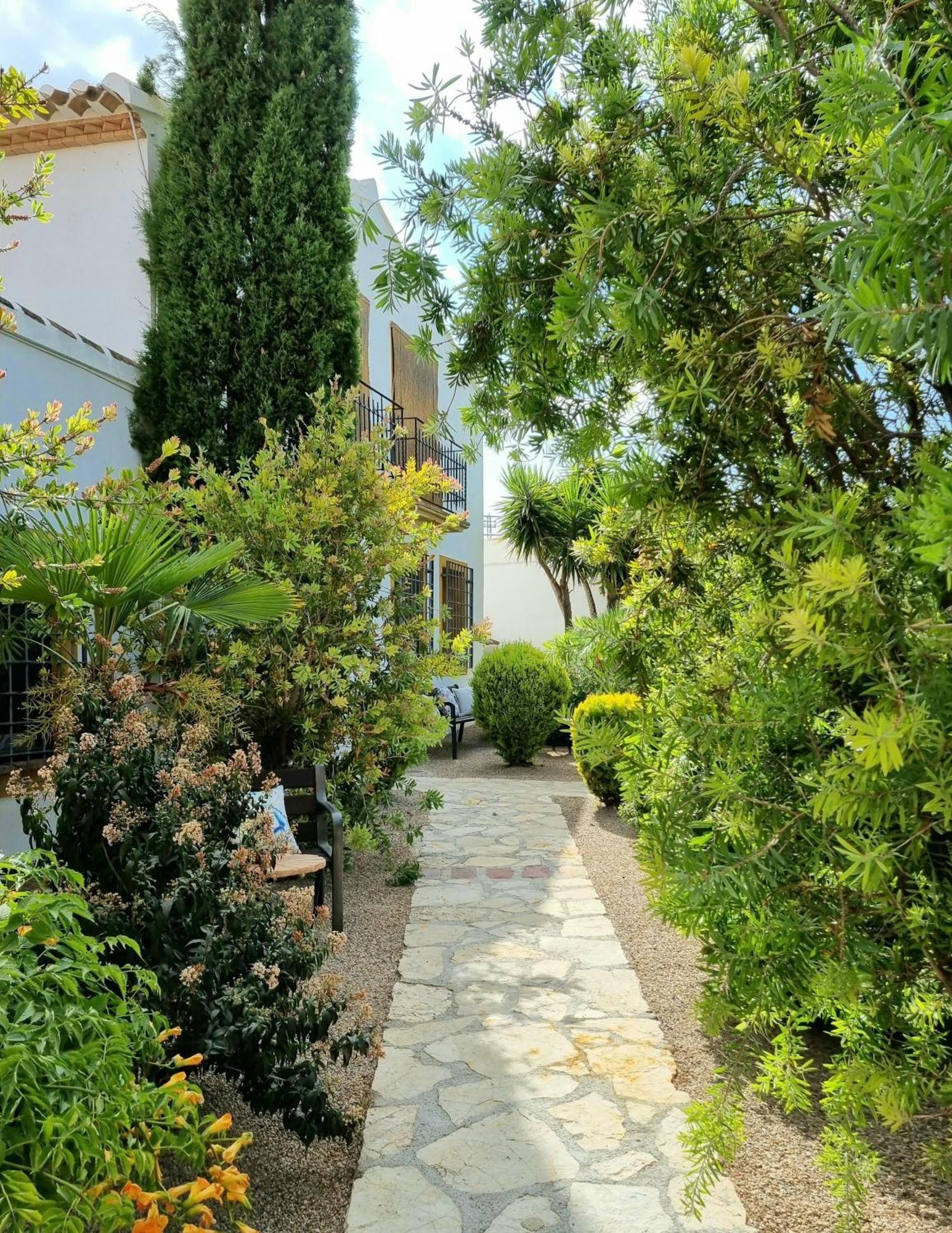 Desconexion Entre Olivos Centenarios Villa Vélez Blanco Buitenkant foto
